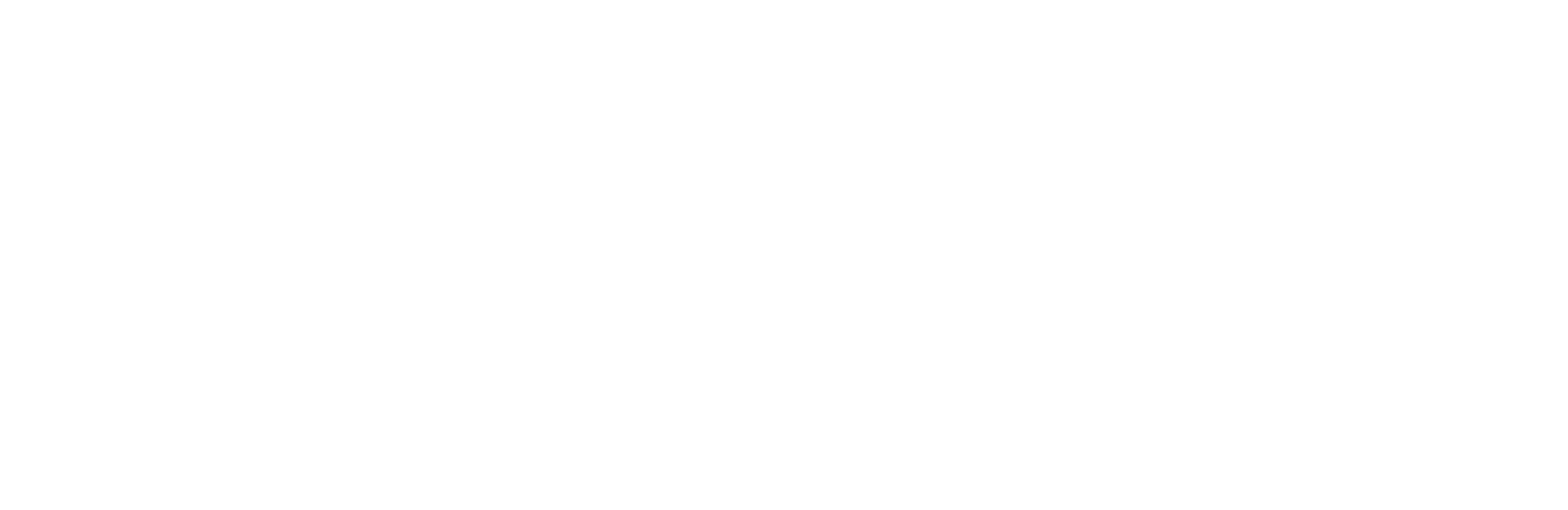 Main logo, white